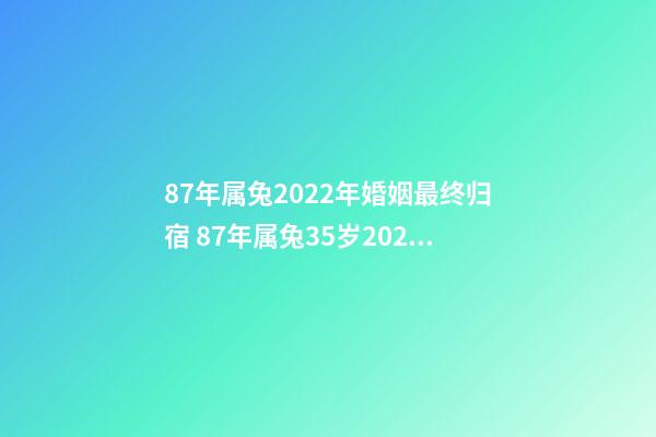 87年属兔2022年婚姻最终归宿 87年属兔35岁2022婚姻-第1张-观点-玄机派